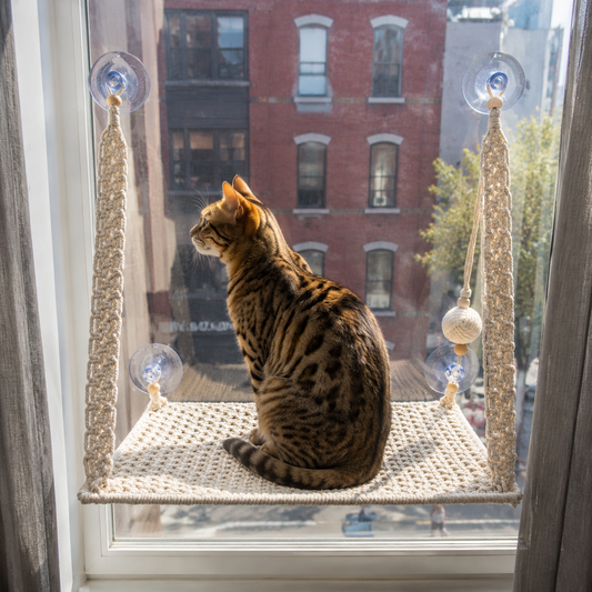 MacraMeow Handcrafted Small Cat Window Perch – No Tassels, Space-Saving Design